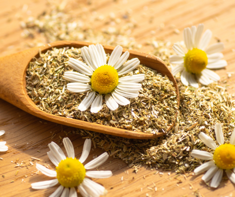 Chamomile Tea