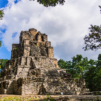 Discover Ancient Skin Secret of Mayans - Tepezcohuite