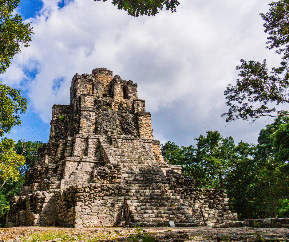 Discover Ancient Skin Secret of Mayans - Tepezcohuite