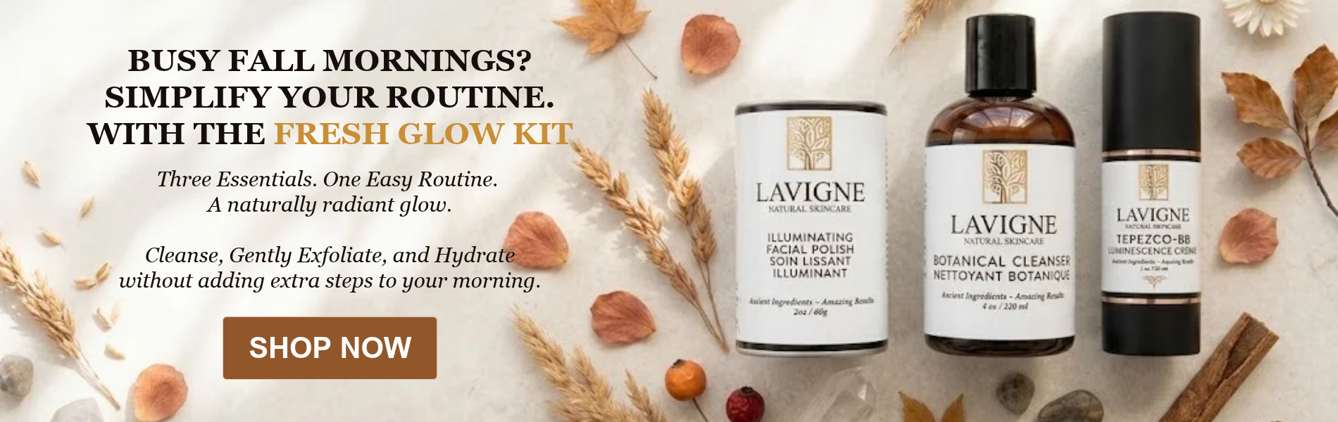 LaVigne Fresh Glow Kit